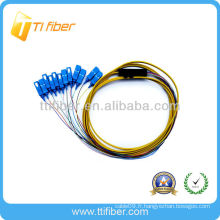 SC, 12core, Ribbon Fiber Pigtail